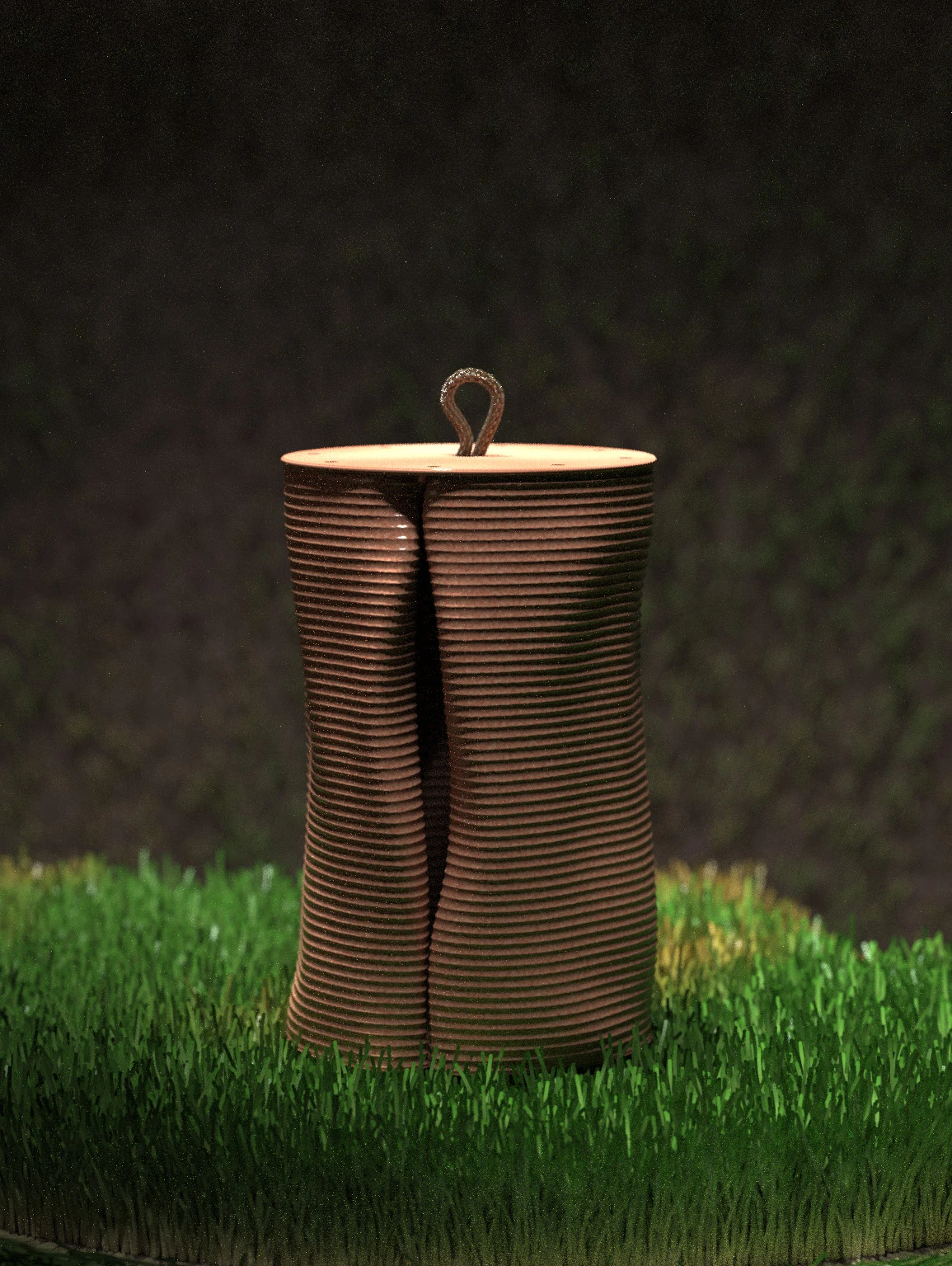 Fungus – 3