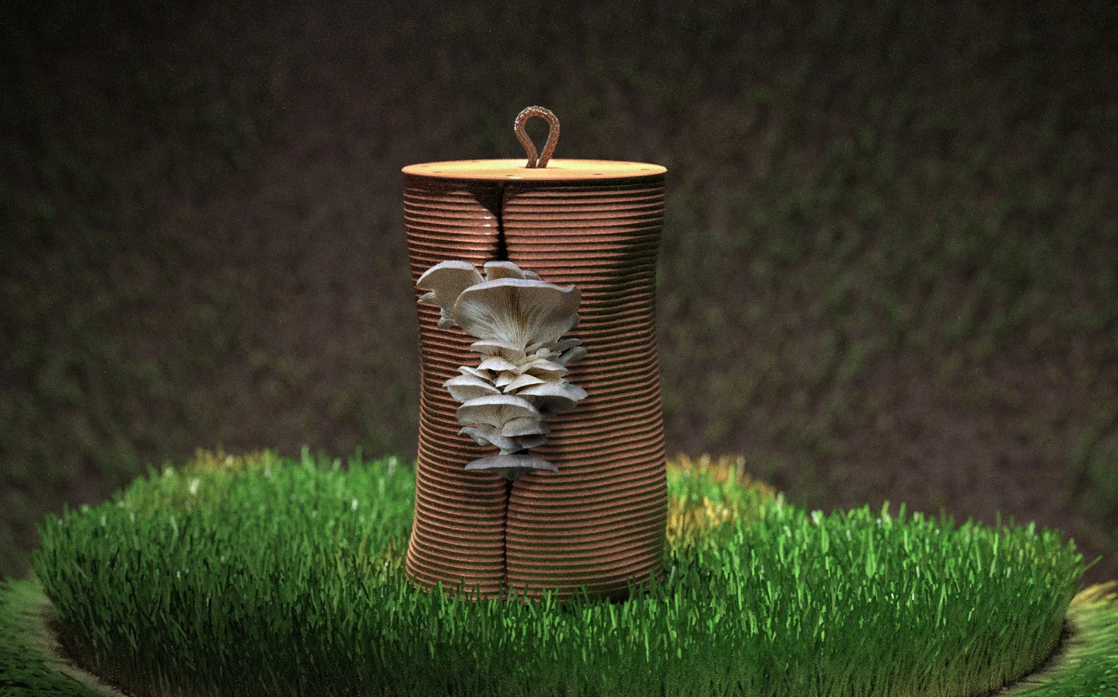 Fungus – 1
